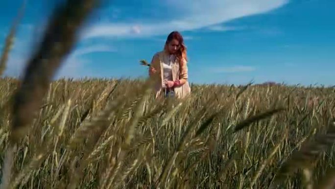 年轻的女农场工人站在田间采摘小麦