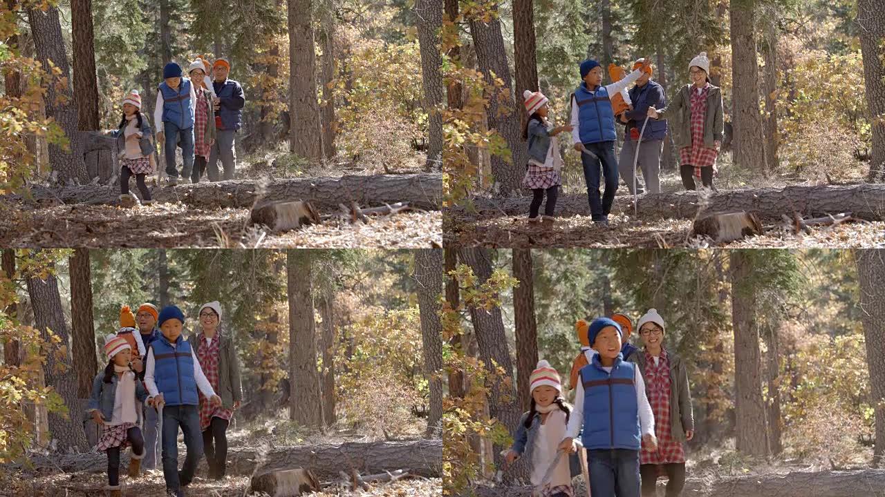 亚洲五口之家在森林里散步，孩子们指指点点