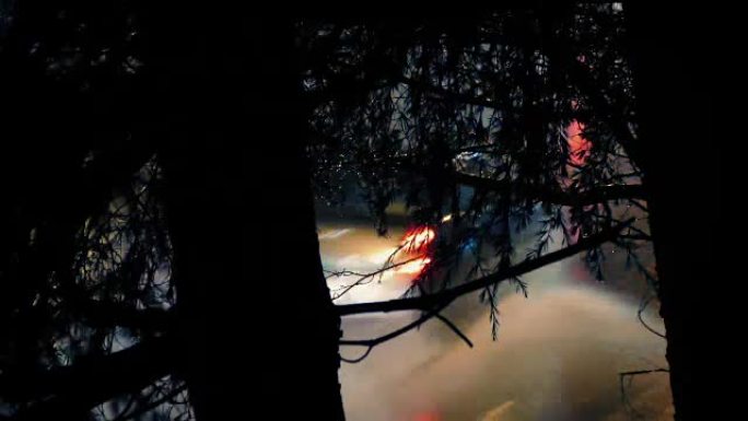 汽车在雨夜穿过树木