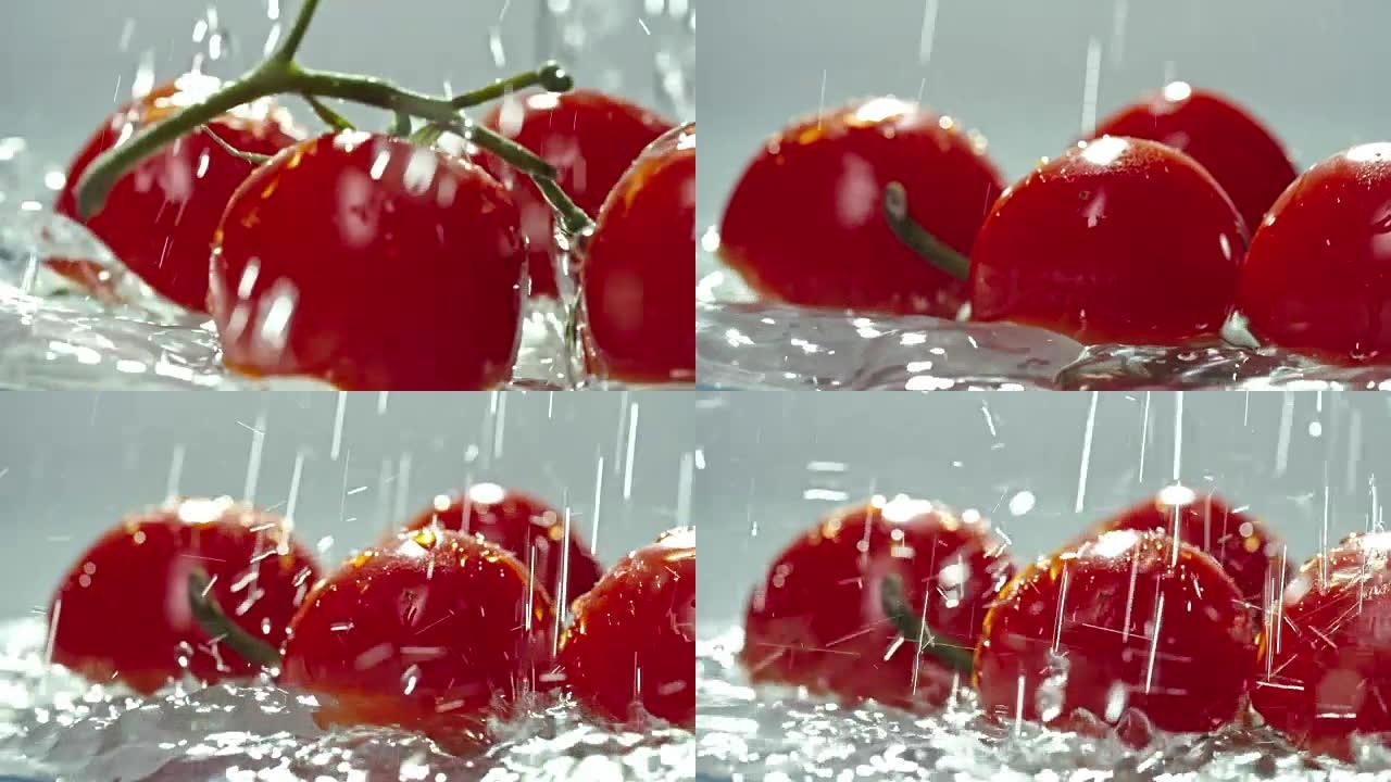 洗成熟的西红柿