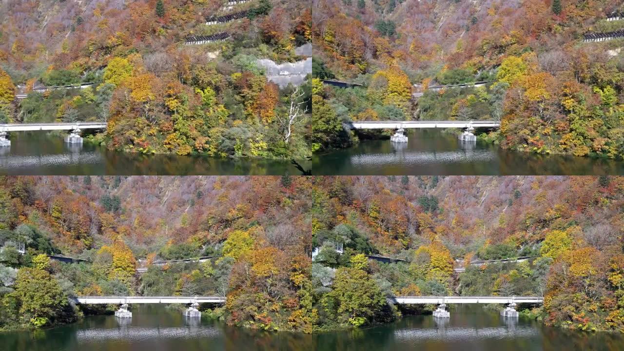平移镜头: 日本福岛忠达美市高野红叶森林在田仓大坝上方的湖泊视点