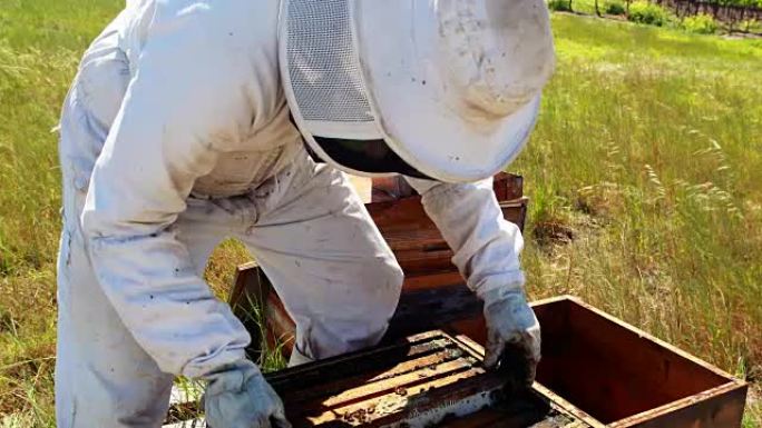 养蜂人从蜂箱中取出木制框架