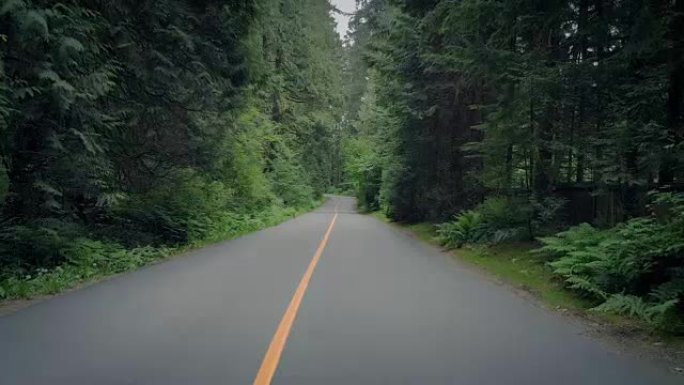 沿着绿树成荫的道路滑行