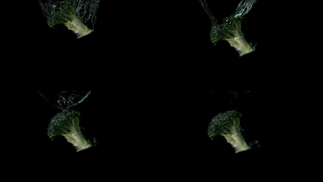 Brocolli在黑色背景下落入水中