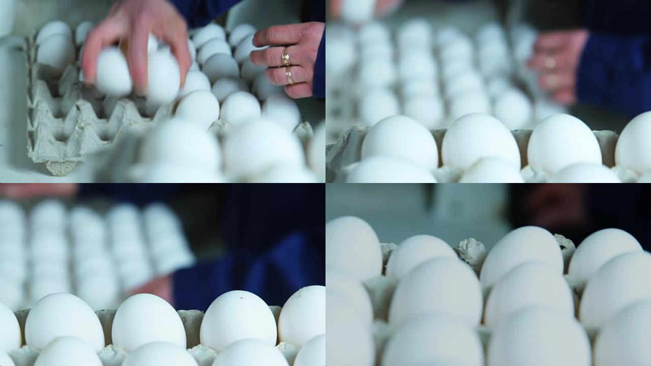 鸡蛋养鸡场的分拣过程