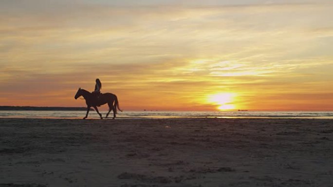 日落灯光下海滩骑马骑手的剪影。宽镜头。