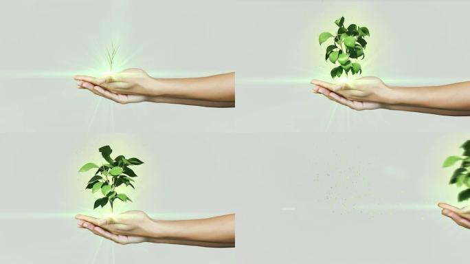 呈现数字绿色植物生长的手