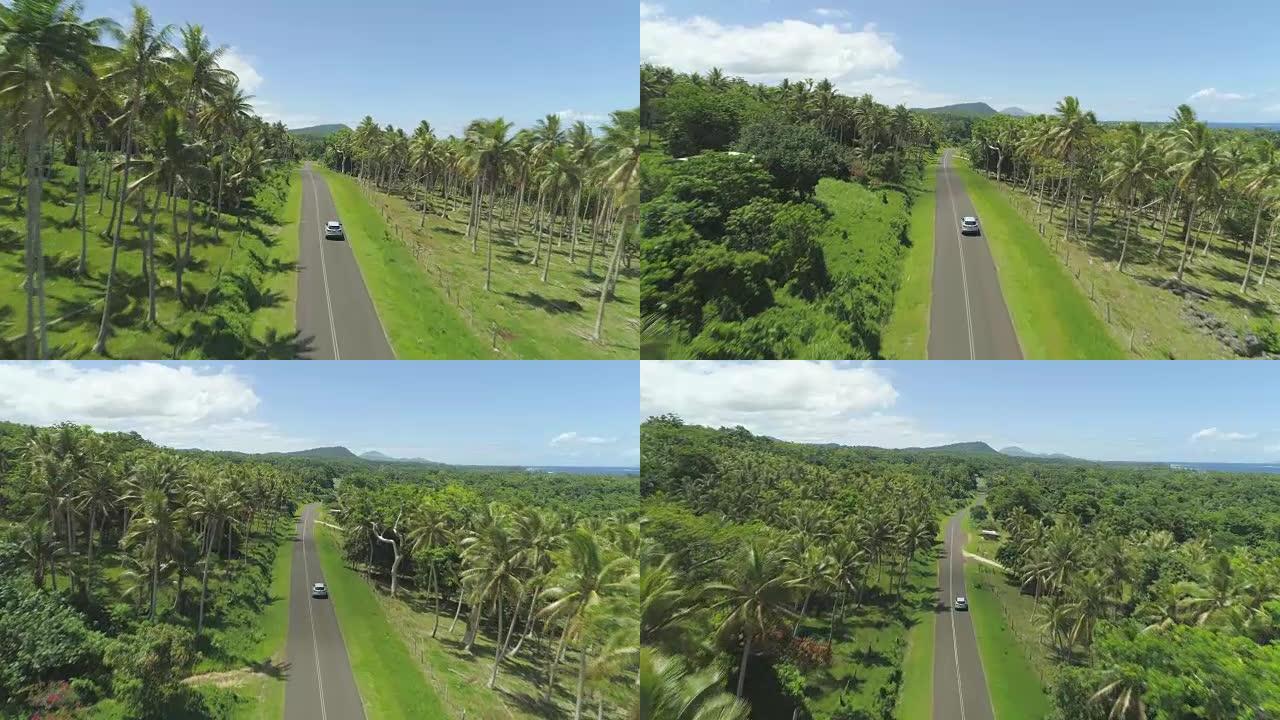 空中: 在阳光明媚的日子里，汽车驶过田园诗般的棕榈树种植园和孤独的小屋