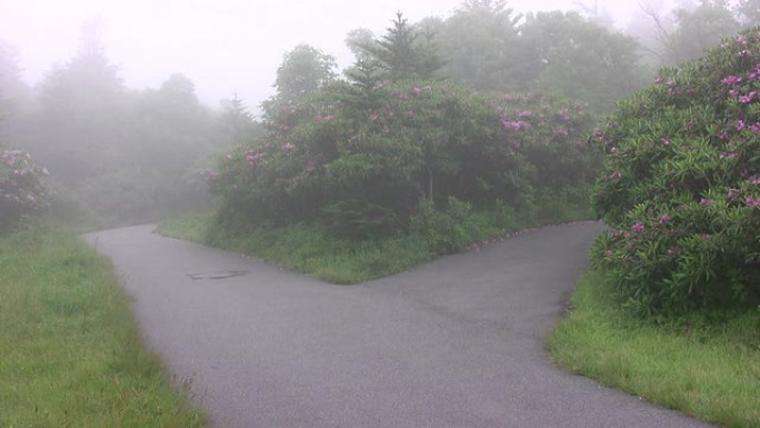 两条雾蒙蒙的道路高清