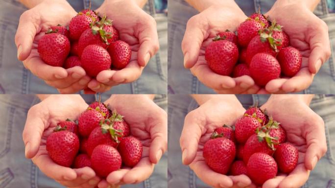 女人展示她的有机草莓