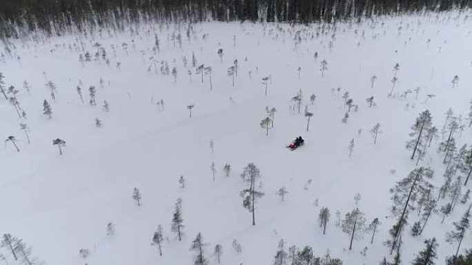 特写: 人们在森林茂密的山上积雪的树木之间驾驶雪地摩托