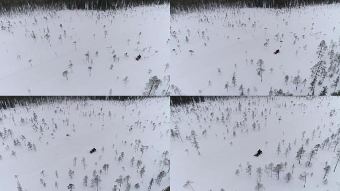 特写: 人们在森林茂密的山上积雪的树木之间驾驶雪地摩托