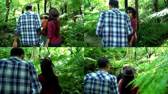 一群朋友，走在秋天的森林里，惊叹于大自然的美丽，穿着舒适的服装徒步旅行，放眼远方，探索丛林小径