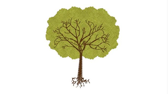 生态设计与树，视频动画