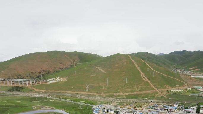 绿色 青草 青海 西藏 高原 牦牛 草原