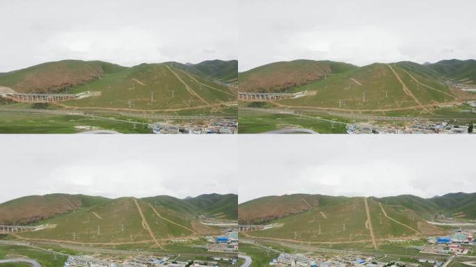 绿色 青草 青海 西藏 高原 牦牛 草原