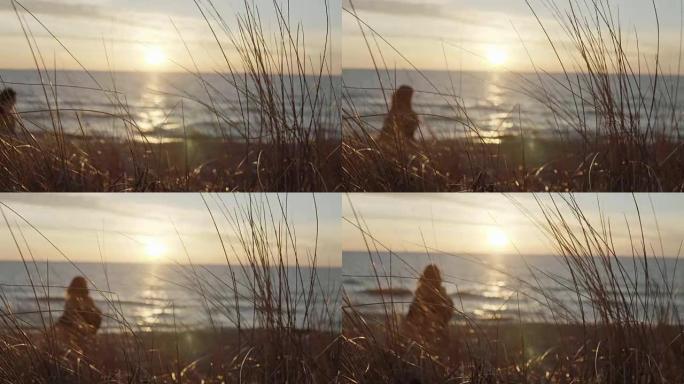 草的特写镜头，风搅动植物。日落时在海滩岸边的背景上行走的女人