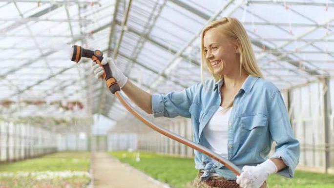 快乐的女园丁在阳光明媚的工业温室里用软管给植物和花朵浇水。