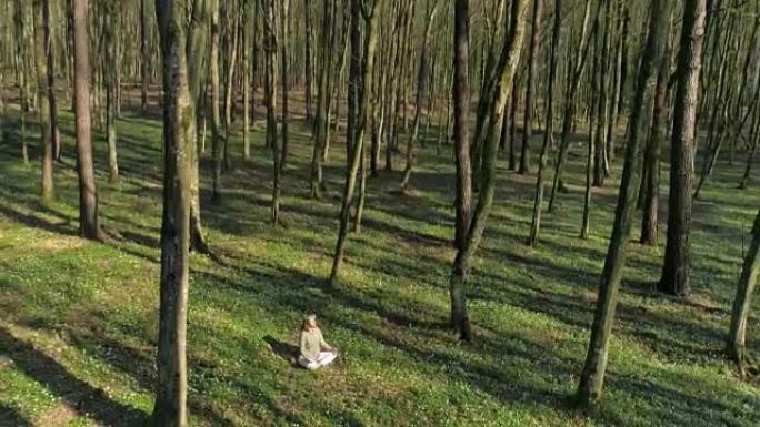 空中女人在森林里冥想