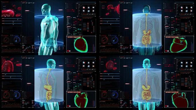 放大和扫描人体，蓝色x射线光。数字显示。