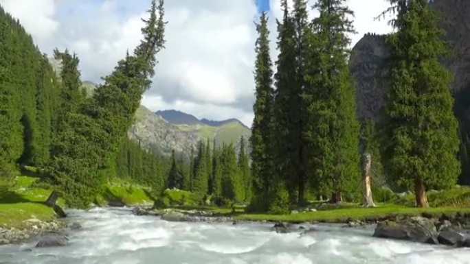 山、枞树和河流景观。吉尔吉斯斯坦天山