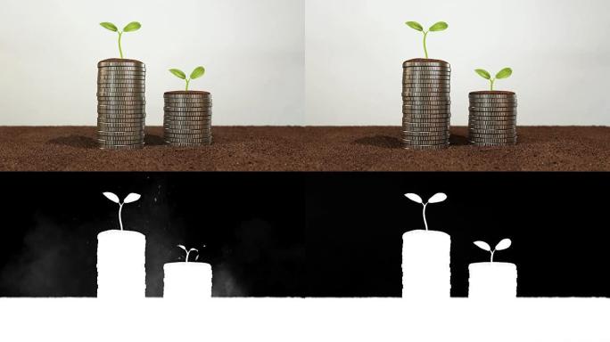 用幼小植物在土壤里的金币。货币增长增加概念。