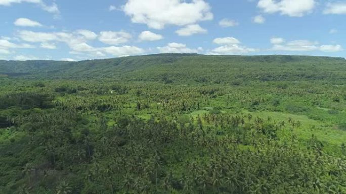 空中: 晴天覆盖热带大陆的永无休止的茂密植被。