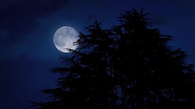 在多风的夜晚，月亮在树后移动