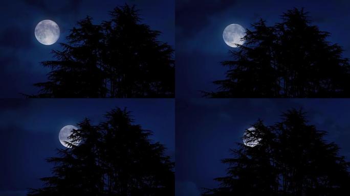 在多风的夜晚，月亮在树后移动