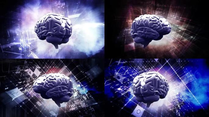 大脑的概念大脑的概念人工智能头脑