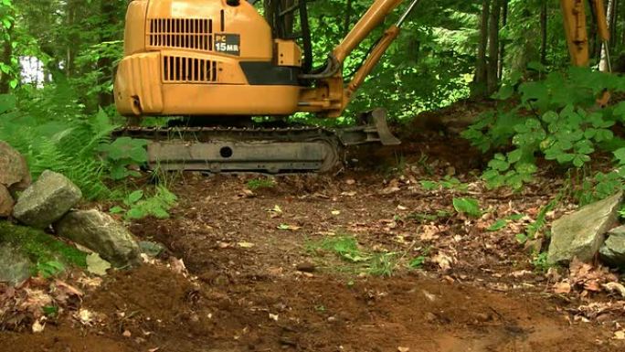 挖掘机在森林中挖掘