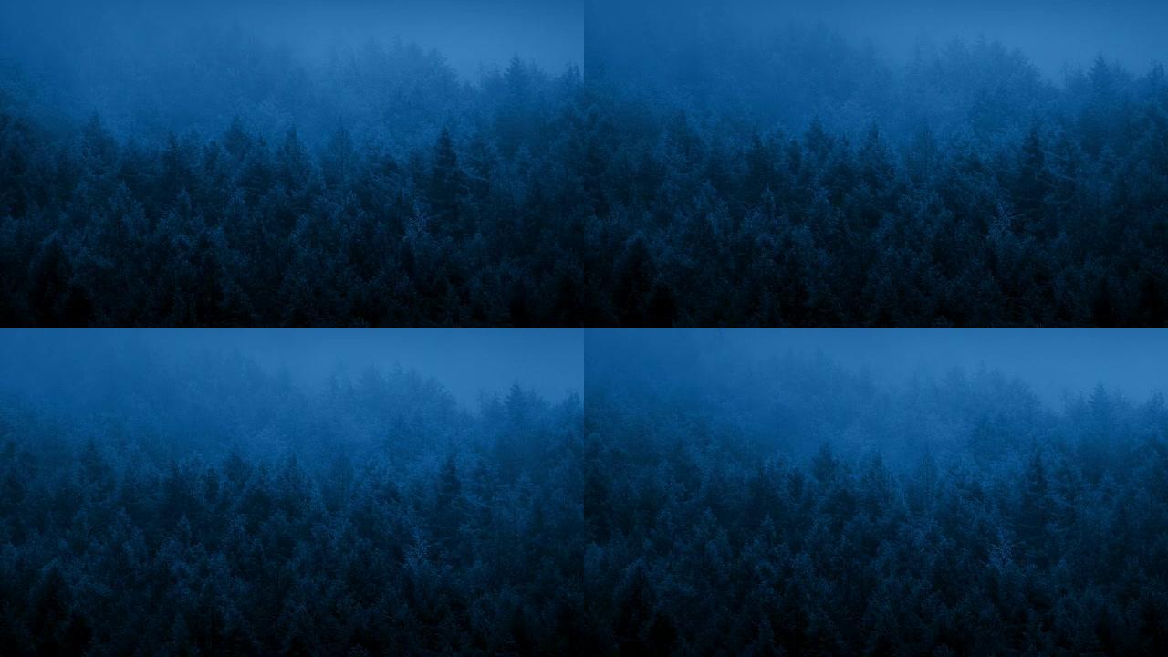黎明时薄雾在森林上滚动
