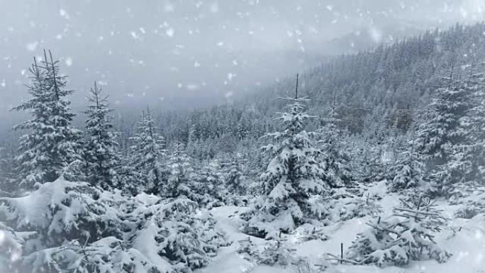 冬天公园里的雪