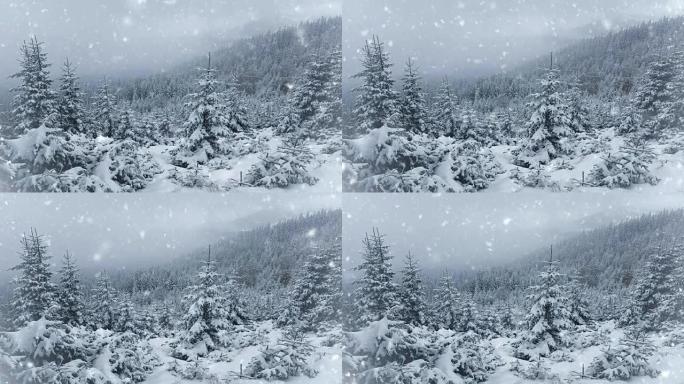 冬天公园里的雪