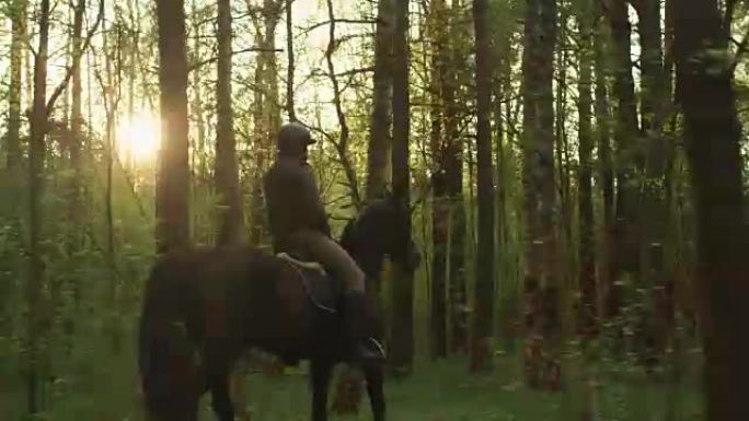 年轻女孩在森林里骑马