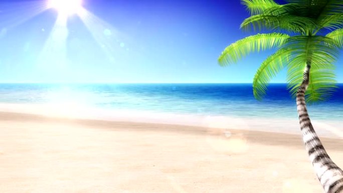 海洋和阳光。有棕榈树的热带海滩。循环。