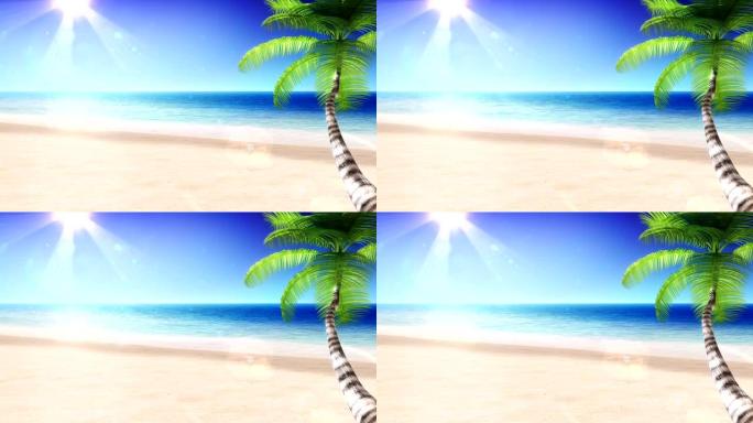 海洋和阳光。有棕榈树的热带海滩。循环。