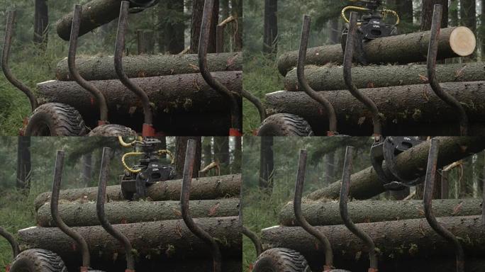慢动作: 装载机提升树干上的爪 & 在树林中装载伐木车