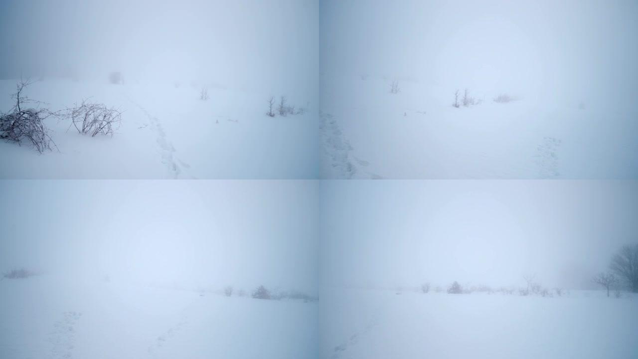 雾蒙蒙的冬季景观