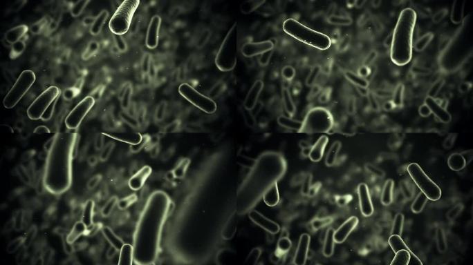 数字生成的细菌细胞在黑色背景下流动