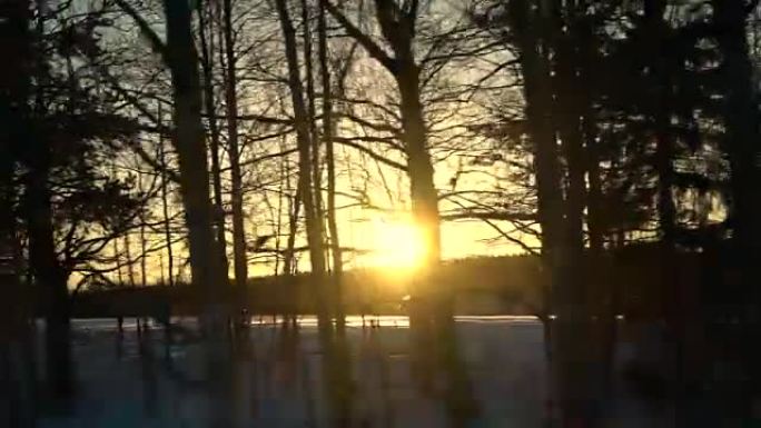 驶过裸露的冬季树木，金色的日落阳光照耀着裸露的树梢