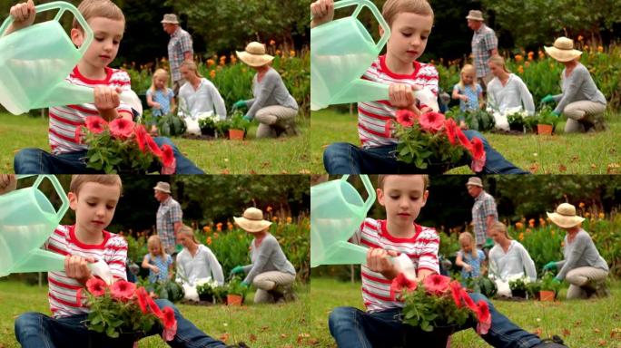 小男孩浇花