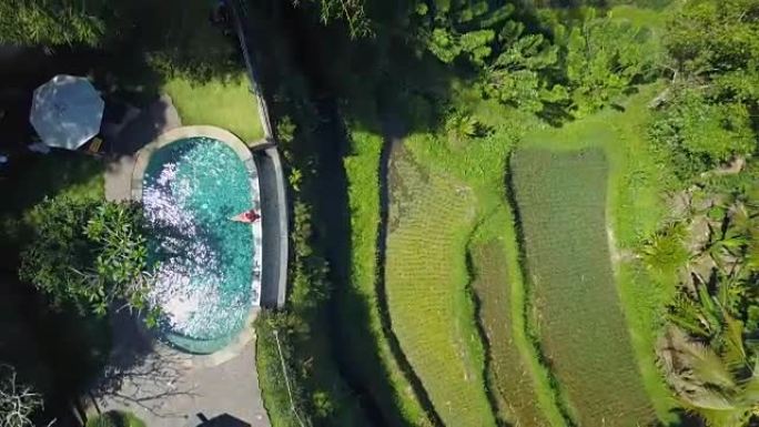 空中自上而下: 水稻梯田上方豪华度假胜地无边泳池中的女孩