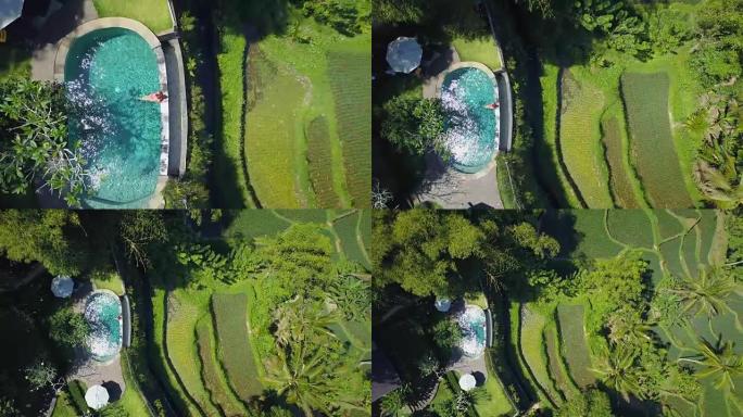 空中自上而下: 水稻梯田上方豪华度假胜地无边泳池中的女孩