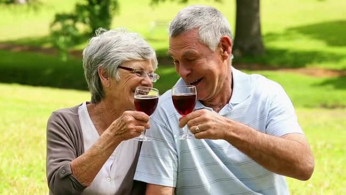 深情的老年夫妇在公园喝红酒