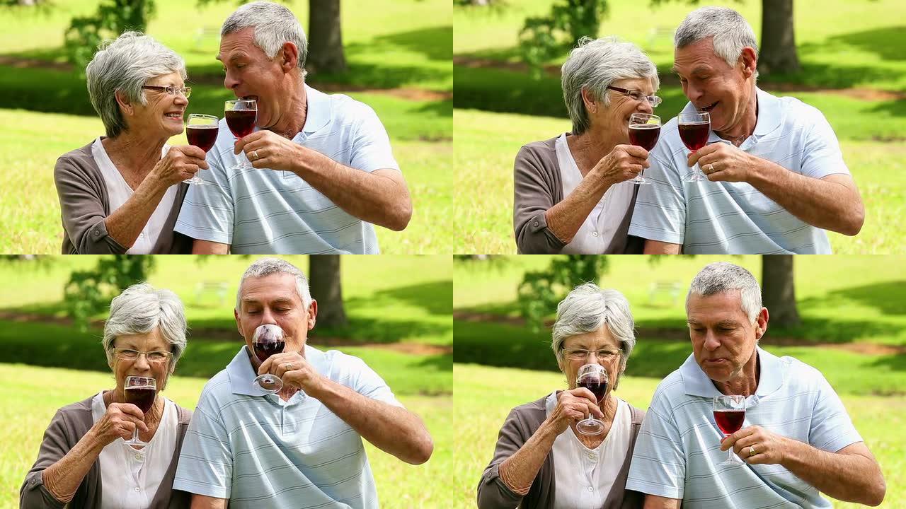 深情的老年夫妇在公园喝红酒