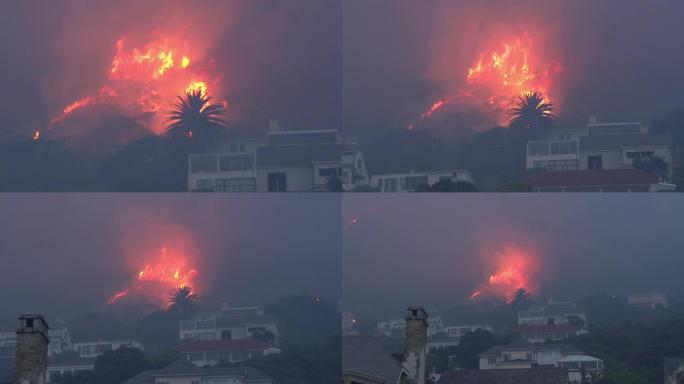 开普敦-3月，2015: 南非桌山山坡上的猛烈丛林大火