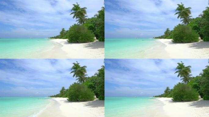 宁静的白色沙滩，棕榈树和翡翠海洋