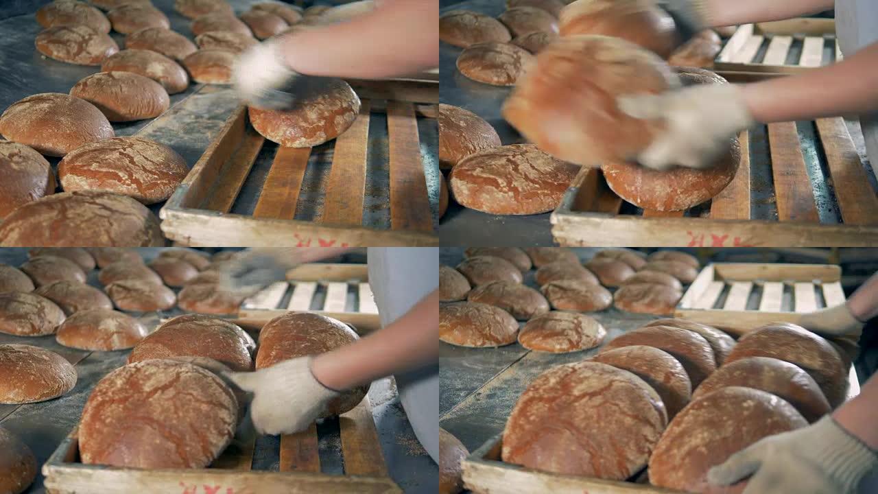 大圆面包被收集到木托盘中。
