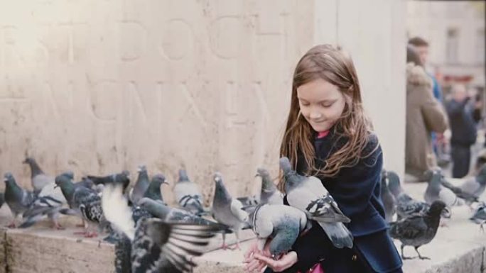 几只鸽子从小女孩的手中吃东西。慢动作。快乐的女性孩子在她的怀里喂养城市的鸟。善良